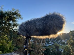 A fluffy boom mic used to capture sound for film and multimedia